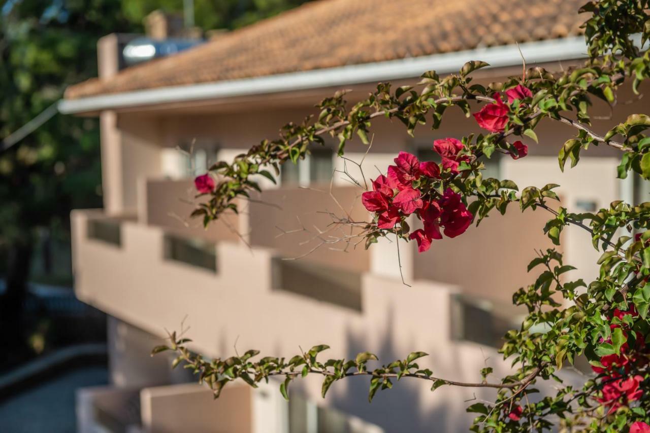 Hotel Vasilikos Beach Закинтос Экстерьер фото